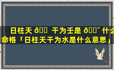 日柱天 🐠 干为壬是 🐯 什么命格「日柱天干为水是什么意思」